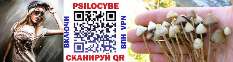 даркнет формула Воскресенск Псилоцибиновые грибы Magic Shrooms наркошоп