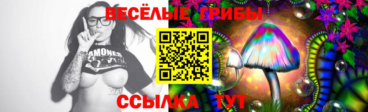 Воскресенск  Псилоцибиновые грибы Psilocybe  Псилоцибиновые грибы Psilocybe  где найти наркотики  Вход с VPN 
